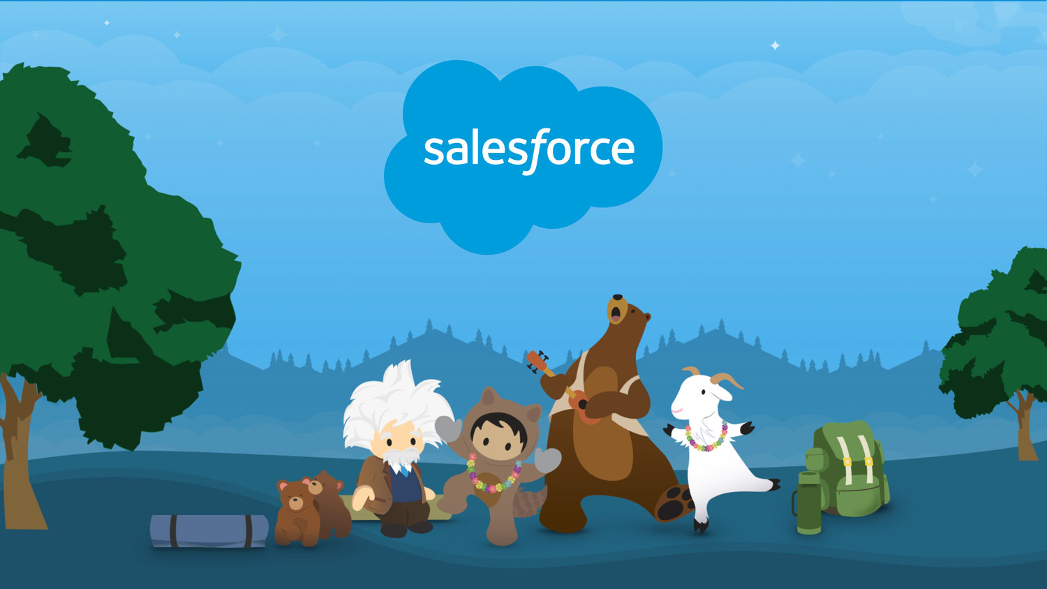 salesforce-header